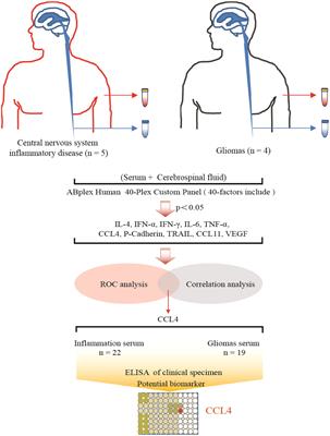 CCL4 as a potential serum factor in differential diagnosis of central nervous system inflammatory diseases and gliomas